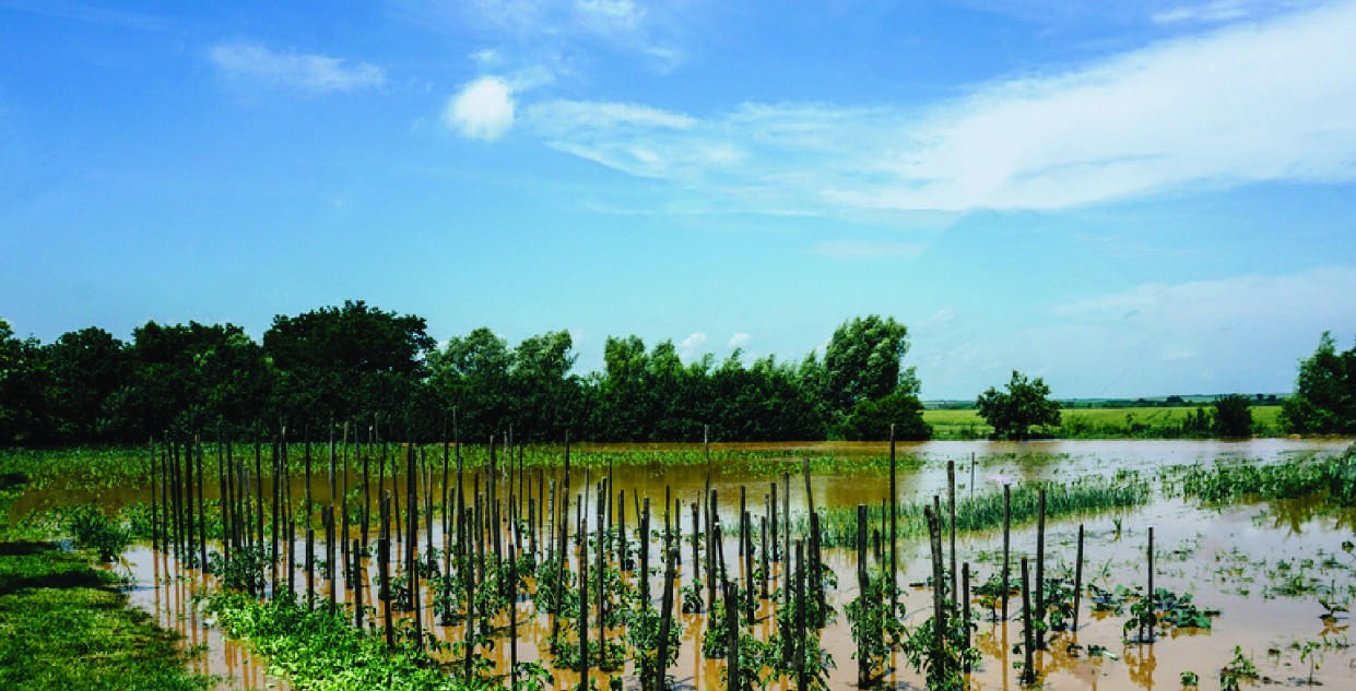 Climate Change and ESG in Kenya: From Scientific Reality to Policy Action