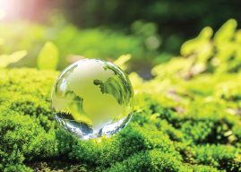 Accounting for Environmental Sustainability