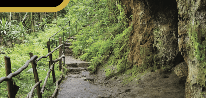 FROM DETOUR TO DETOX: WHERE TRAVELERS GO TO HEAL AFTER DECEMBER